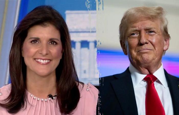 Nikki Haley responds after Trump says she won’t be part of new cabinet, says she wishes him ‘great success’