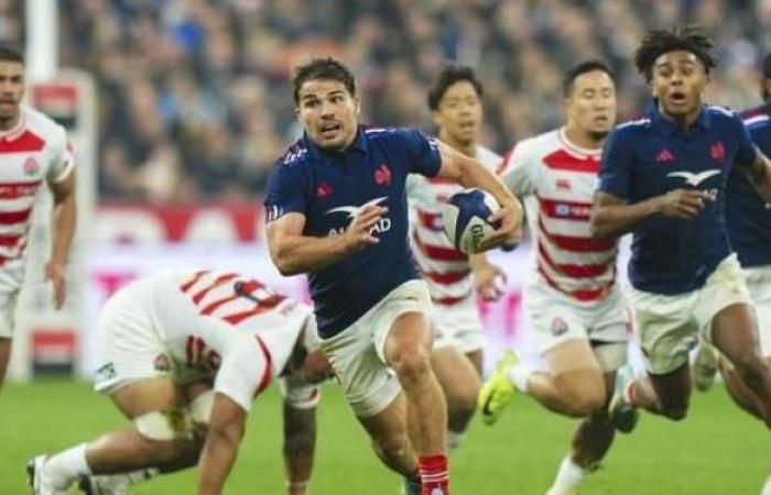 Prime Audiences: The French XV largely won against Japan on TF1 but did the match do better than the France 3 fiction “Murders in the Verdon Gorges”?