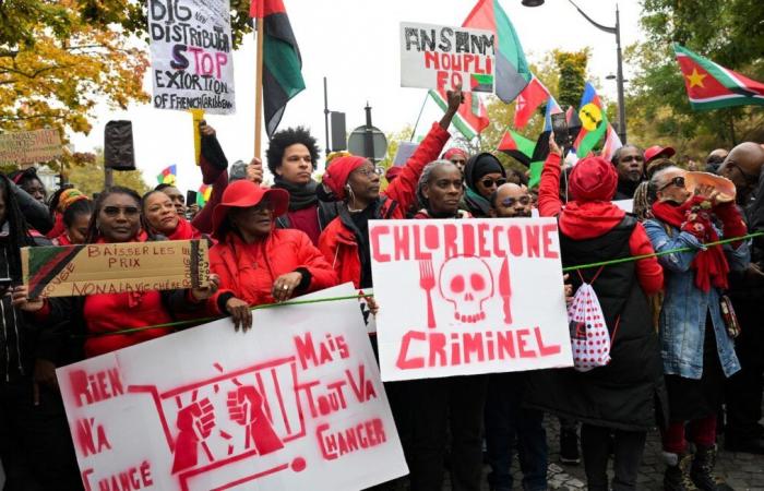 Thousands of demonstrators in Paris to denounce the high cost of living overseas