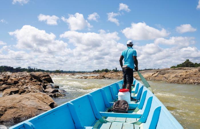 In Guyana, an exceptional drought disrupts daily life on the rivers