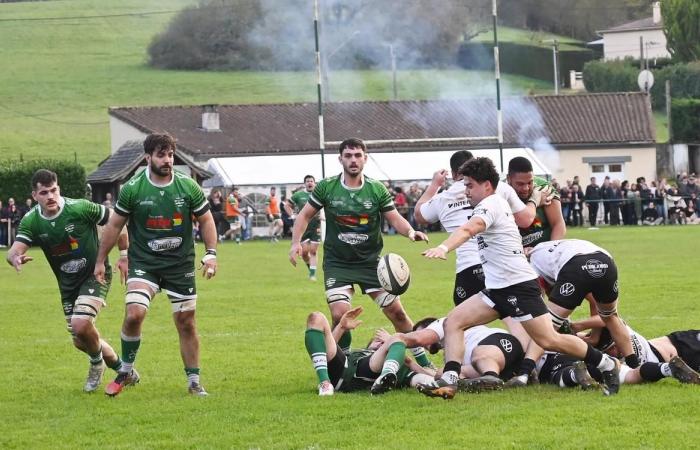 Rugby, Federal 2: sharing of points during the Vergt – Bergerac derby in Dordogne