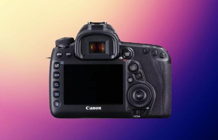 Canon EOS 5D Mark IV camera sees price halved this Sunday