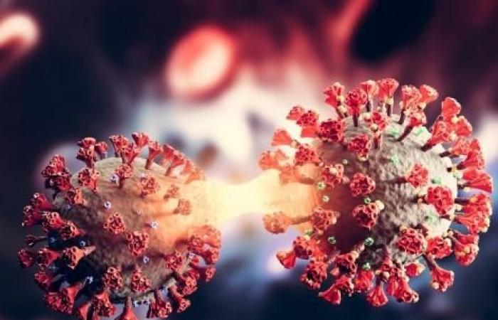 The Covid-19 virus “steals” our proteins to protect itself from the immune system