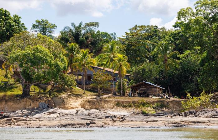 In Guyana, an exceptional drought disrupts daily life on the rivers