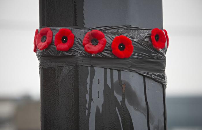 Open or closed for Remembrance Day?