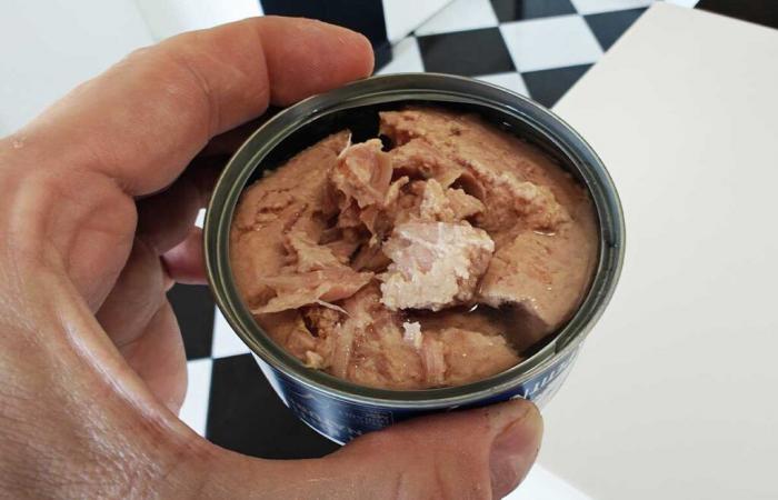 Poison in tuna, “a major public health problem”, according to these associations