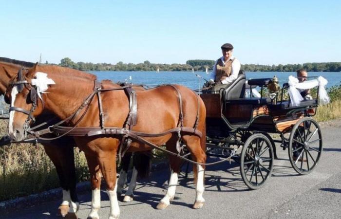 A carriage overturns in Libramont, its driver died instantly