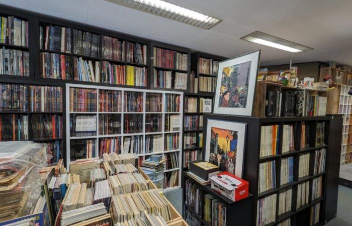 he opens a bookstore to sell his exceptional collection of 26,000 comics, mangas and comics