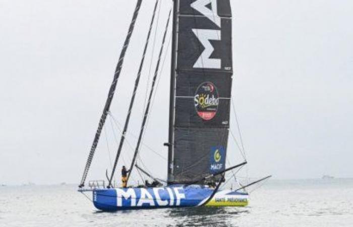 Vendée Globe: Dalin already in the lead, narrowly ahead of Simon