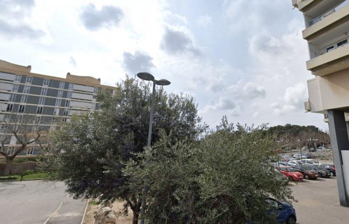 one dead and one injured by gunfire in Martigues, two grenades found in front of a supermarket