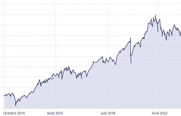 Invest with complete peace of mind: benefit from stock market success by delegating