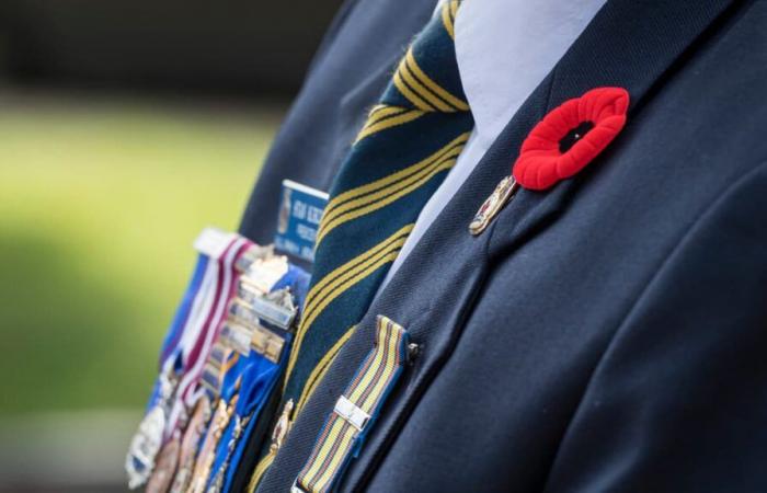 Remembrance Day: tribute to Canadian veterans in Ottawa