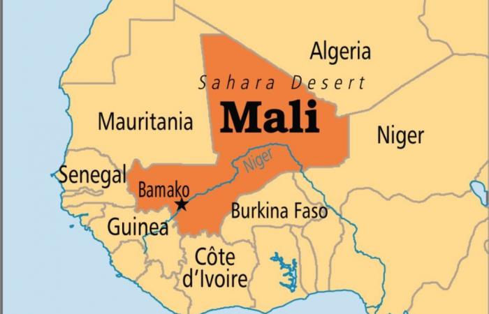 Gold mine in Mali: the military junta in power hits hard…