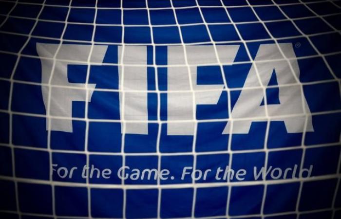 Amnesty International calls on FIFA to “interrupt” the 2034 World Cup award process (Football)