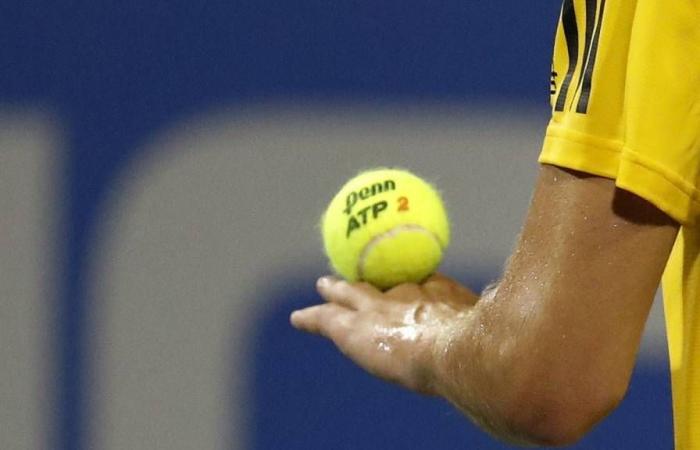 Nitto ATP Finals Betting Odds and Match Previews for Nov. 11, 2024, Men’s Singles