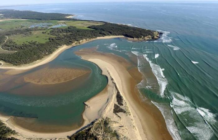 QUIZ. History, culture, sport, geography… Do you know Vendée well?