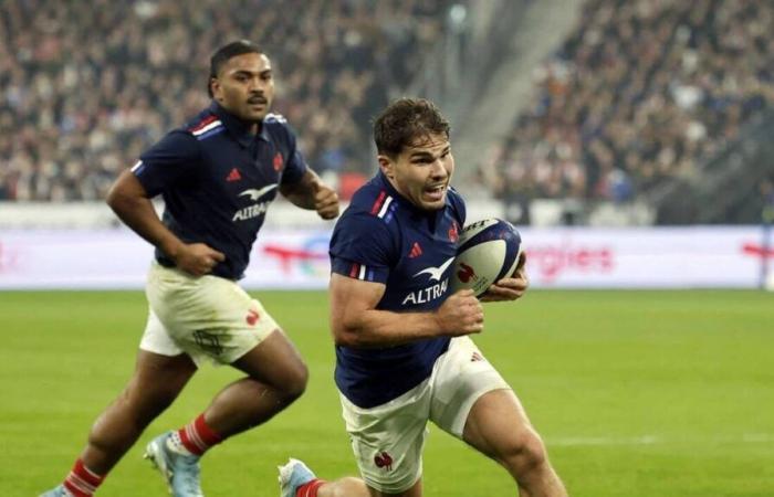 XV of France. Time, TV broadcast… Everything you need to know about the test match against the All Blacks