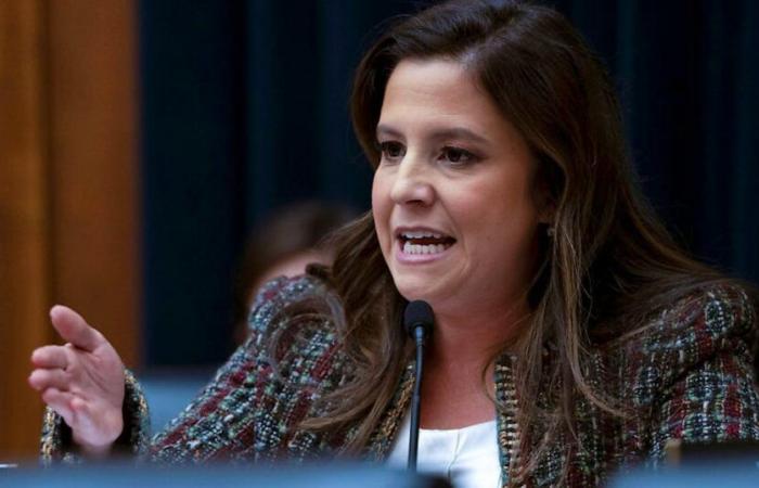 USA: Trump plans to nominate Elise Stefanik as UN ambassador