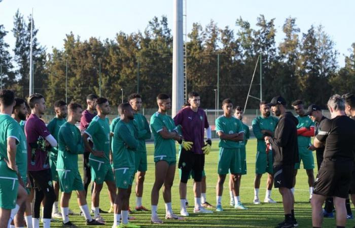 The Lion Cubs of Tarik Sektioui in preparation training in Salé