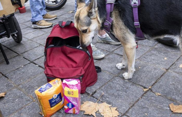 “Being a woman on the street is always more complicated”