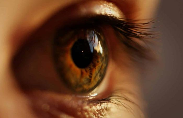 stem cell treatment restores sight in patients with severe eye disorders