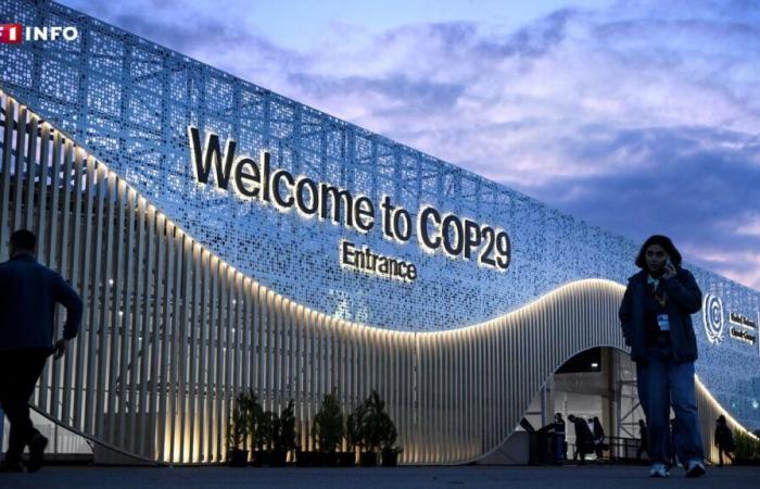 COP29: first day and first agreement on “carbon credits”