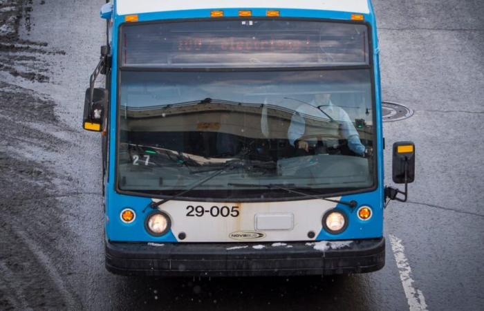 STM, STL, RTL, exo: how much do bus drivers earn?