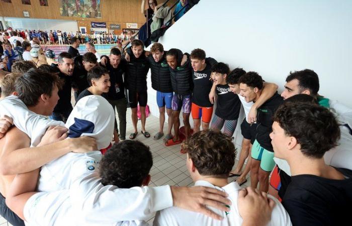 REPORTING. Léon Marchand: “He’s like us except that he broke through…” Immersion with the teammates of the star swimmer at the TOEC Dauphins