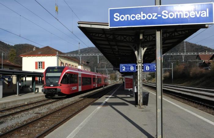 The important problems of the Bienne line