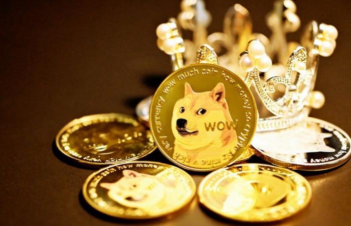 Much Wow! Dogecoin Is Now Larger Than Ford, Adidas, Lululemon, Roblox: 15 Companies Worth Less Than Meme Crypto