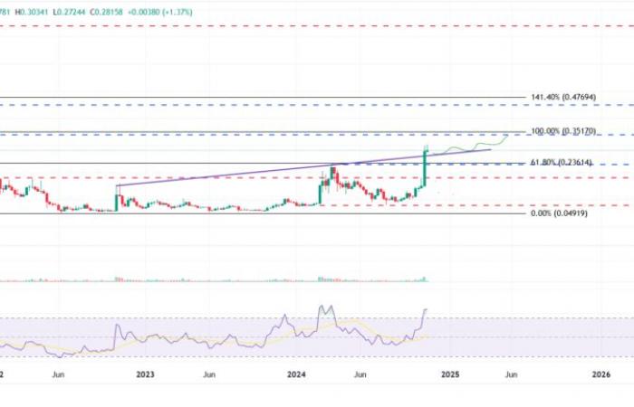 Dogecoin extends gains as traders assess Elon Musk’s role in upcoming Trump administration