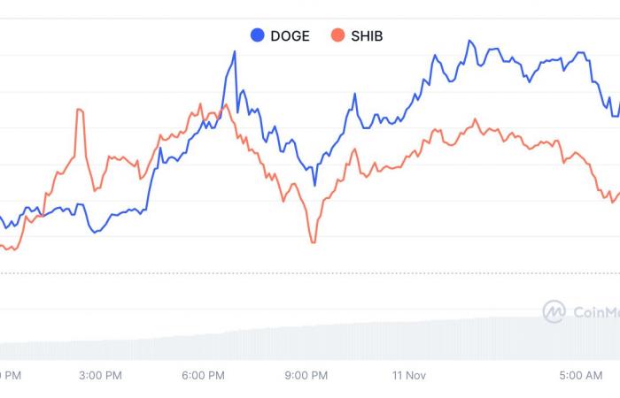 Memecoin prices explode as Dogecoin, Shiba Inu lead the way, and Flockerz ICO nears $1.5M