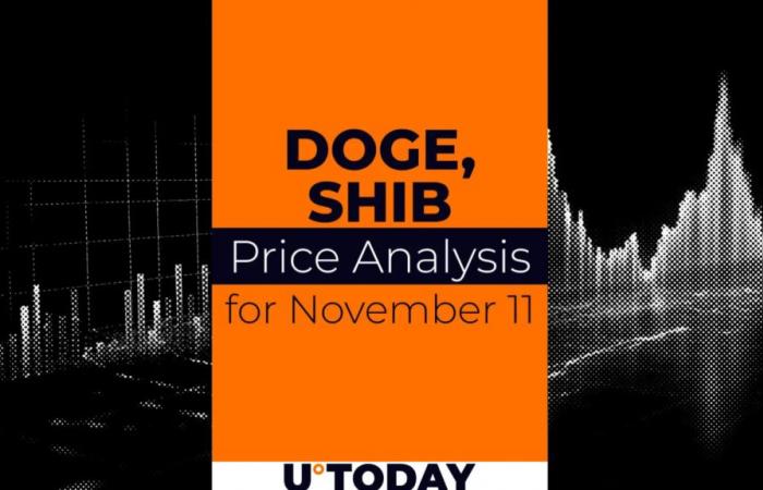 DOGE and SHIB Price Prediction for November 11