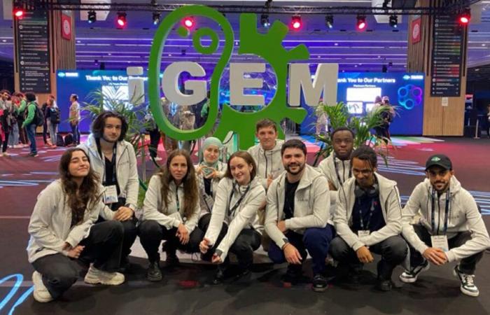 iGEM ​​2024: the Genopole Évry Paris-Saclay team wins gold