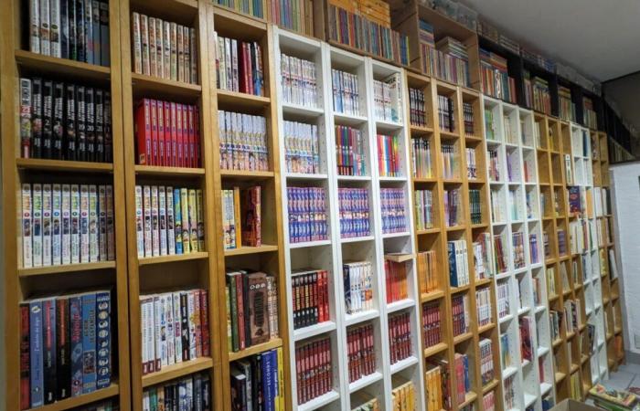 he opens a bookstore to sell his exceptional collection of 26,000 comics, mangas and comics