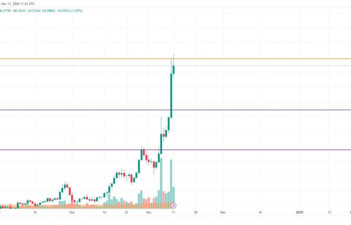 DOGE and SHIB Price Prediction for November 11