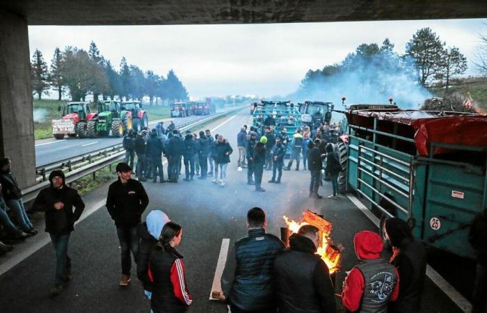 Anger of farmers: should we expect new blockages in Ille-et-Vilaine?