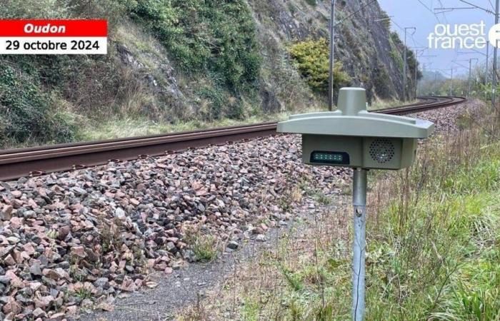 VIDEO. In Loire-Atlantique, scarers to avoid collisions between trains and animals