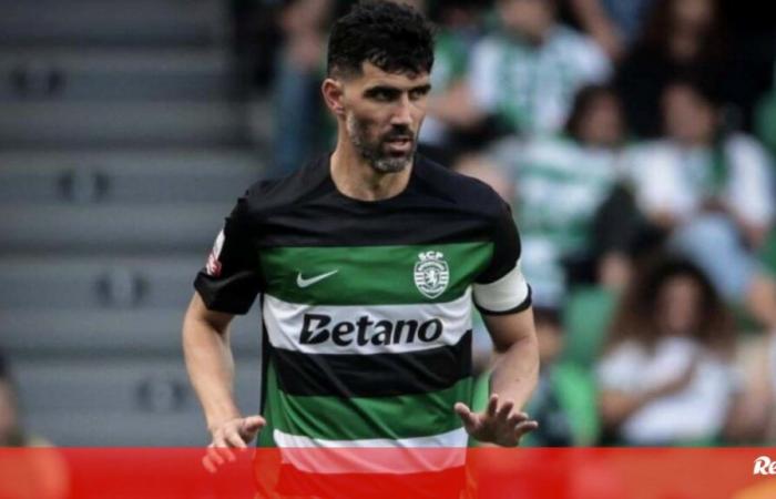 Luís Neto confirmed on João Pereira’s technical committee – Sporting