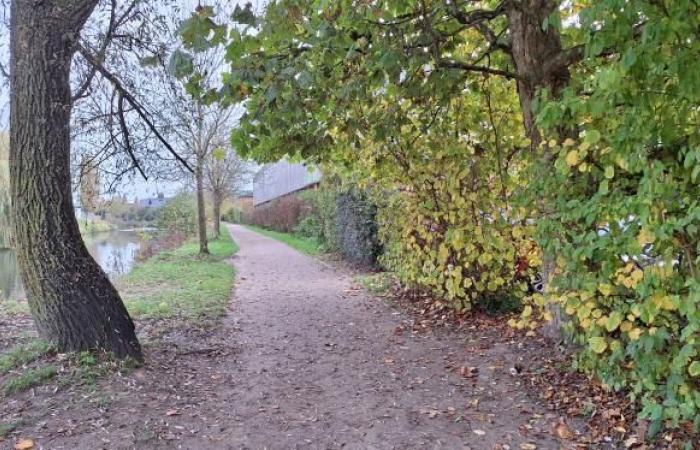 Marcq-en-Barœul: on the towpath where Daniel was stabbed, there is incomprehension