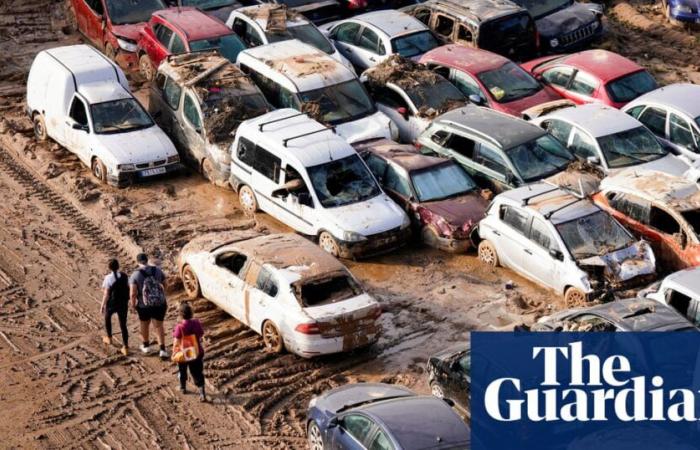 Climate breakdown will hit global growth by a third, say central banks | Global economy