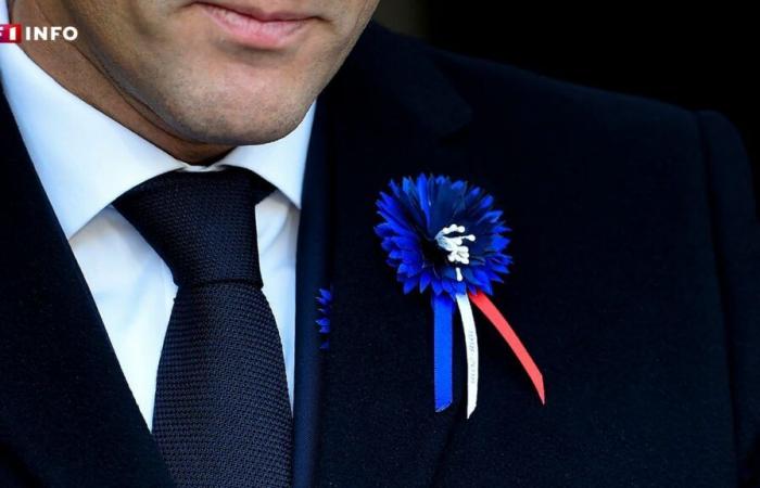 November 11: why do the French and the British wear the Cornflower and the poppy?