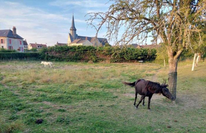 a conference to follow with the Perche Natural Park