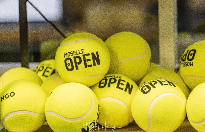 Moselle Open 2024: the souvenir album “in front and behind the curtain”