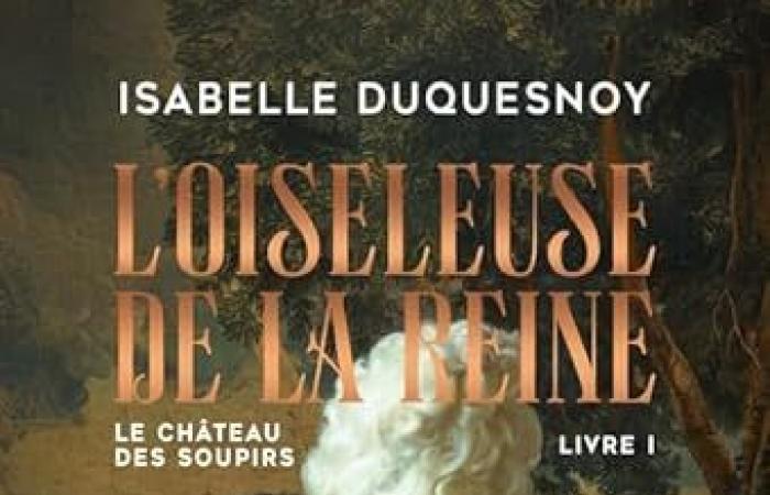 The Castle of Sighs, book 1 Isabelle Duquesnoy