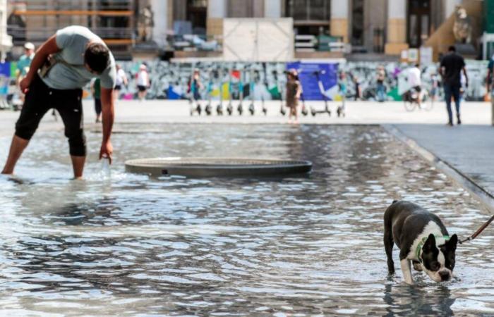 Climate: two out of three Belgians recognize that they will have to change their way of life