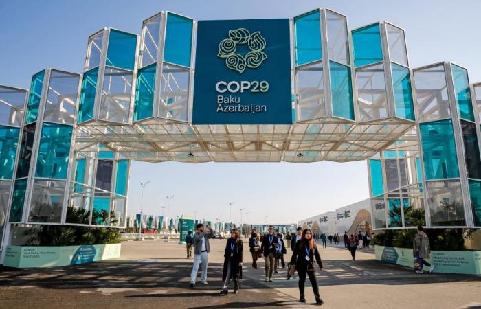 US Election Darkens the Door of COP29 as It Opens in Azerbaijan