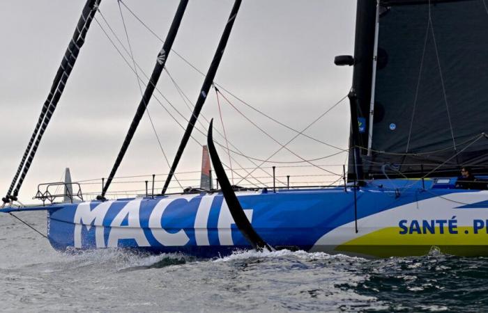 Vendée Globe 2024: Dalin in the lead, damage for Coleman and Herrmann… The race rankings as of November 11