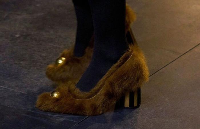 What are “hairy shoes”, these hairy shoes that are invading the catwalks this season?