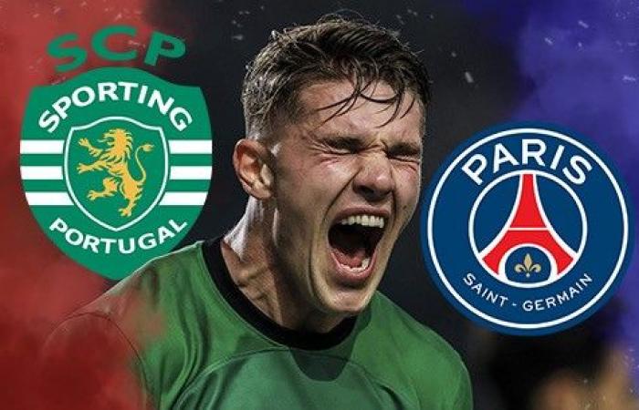 Mercato PSG: Sporting Portugal opens the door for Viktor Gyökeres! – Transfers